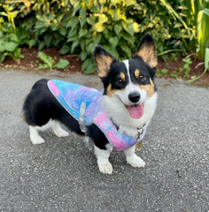 💥Last Day Special Sale 49% OFF👚Tie-Dye Dog Cooling Vest with SPF 50+ UV Protection - Evaporative Cool Summer Harness for Dogs, Breathable & Lightweight, Ideal for Walking & Outdoor Activities