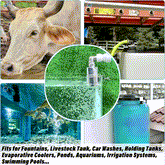 2025 HOT SALE 49% OFF🌊 304 stainless steel water level control float valve🚰