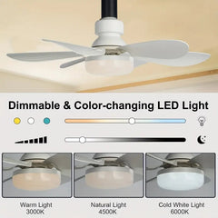 🎁Last Day Promotion 49% OFF🔥SmartBreez™ 40W LED Ceiling Fan Light – 20.5” Ultra-Quiet with Remote 🎯 | E27 + FREE B22 Adapter 🔌 | For Bedroom 😴, Kitchen 👩🍳 & Garage 🛠️ – UK Ready! 🇬🇧