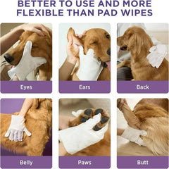 🔥Best-selling in 2025🔥Deodorizing Pet Glove Wipes For Dogs(6Pcs)