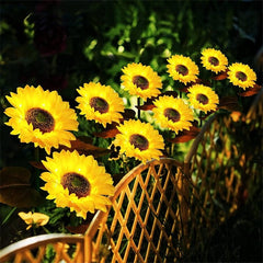 🌻30% OFF FLASH SALE ! Sunflower Solar Lights – Glowing Decor for Garden ✨🌿【Hurry Up】