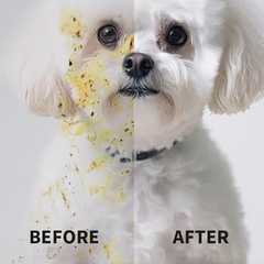 ⏰Last Day 50% OFF💝Convenient Efficient Pet Wash-Free Wipes Gloves