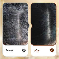 2-In-1 Natural Instant Safe Hair Color Stick & Comb