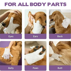 🔥Free Shipping🔥 Rinse-Free Pet Cleaning Deodorizing Gloves
