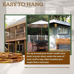 ⏰️Last Day For Free Shipping⏰️Hanging Wasp Deterrent for Hornets