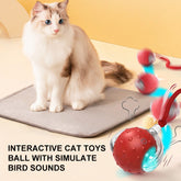 🎁Last Day Promotion 49% OFF🔥Interactive Cat,Dog Toys Ball with Simulate Bird Sounds