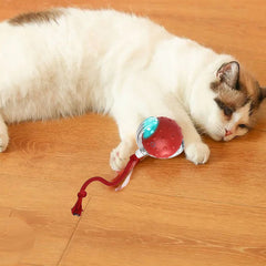 🎁Last Day Promotion 49% OFF🔥Interactive Cat,Dog Toys Ball with Simulate Bird Sounds
