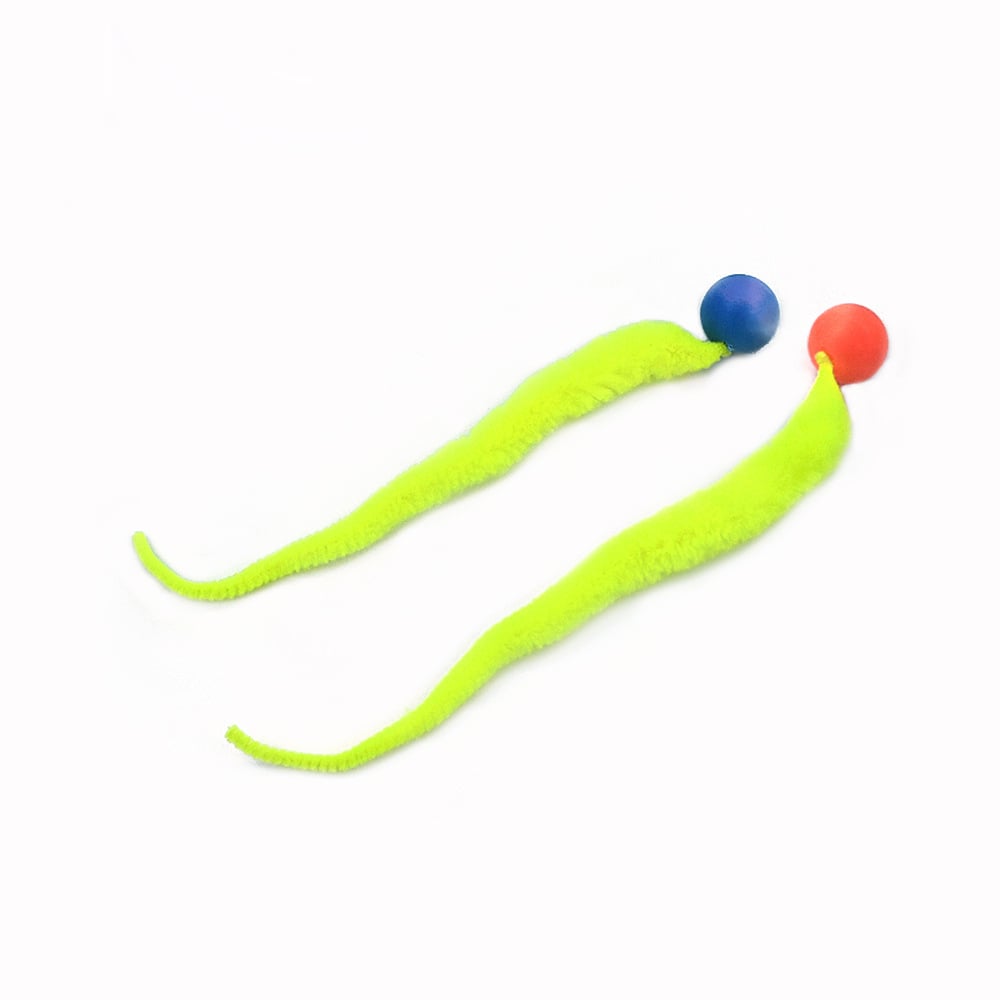 Typared Jiggle Ball for Cat