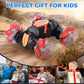 🔥 New Arrival Promotion - 50% OFF🎁4WD RC Remote Control Car (Double-Sided Driving)
