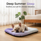🎁Last Day Promotion 49% OFF🔥❄Pawchill™🇬🇧Pet Cooling Mat for Dogs & Cats 🐾  Naturally Cool Ice-Silk Pad • Breathable, Washable & Soft 🌿  For Floors, Sofas & Car Travel • Multiple Sizes • Gradient Colours ☀️🐶🐱
