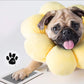 🎅Christmas HOT SALE🎁 50% OFF🐶Pet Paw Printing Kit🐾🐾