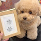 🎅Christmas HOT SALE🎁 50% OFF🐶Pet Paw Printing Kit🐾🐾