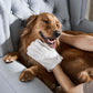 🔥Best-selling in 2025🔥Deodorizing Pet Glove Wipes For Dogs（6Pcs）