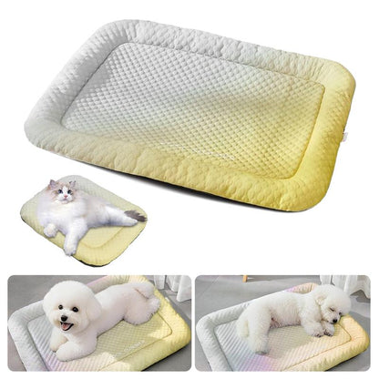 🎁Last Day Promotion 49% OFF🔥❄Pawchill™🇬🇧Pet Cooling Mat for Dogs & Cats 🐾  Naturally Cool Ice-Silk Pad • Breathable, Washable & Soft 🌿  For Floors, Sofas & Car Travel • Multiple Sizes • Gradient Colours ☀️🐶🐱