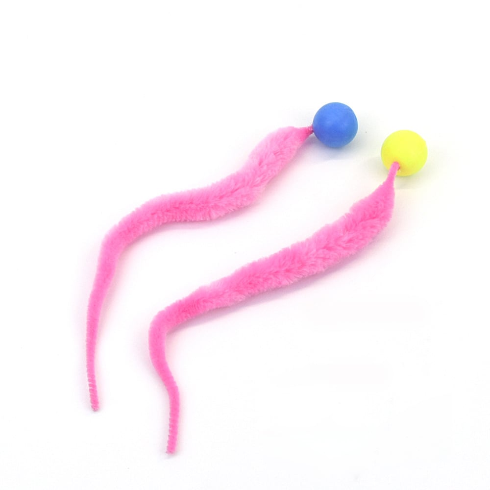 Typared Jiggle Ball for Cat