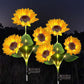 🌻30% OFF FLASH SALE ! Sunflower Solar Lights – Glowing Decor for Garden ✨🌿【Hurry Up】