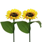 🌻30% OFF FLASH SALE ! Sunflower Solar Lights – Glowing Decor for Garden ✨🌿【Hurry Up】