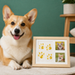 🖼️DIY Pet Paw Print Keepsake Frame Kit – Paw Impression & Photo Display🎨