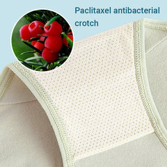 🎁(3pcs) Women's High Waisted 3A Grade Paclitaxel Antibacterial Panties