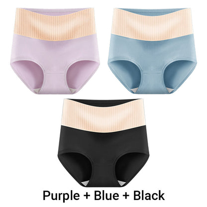 🎁(3pcs) Women's High Waisted 3A Grade Paclitaxel Antibacterial Panties