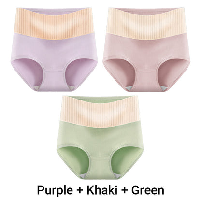 🎁(3pcs) Women's High Waisted 3A Grade Paclitaxel Antibacterial Panties