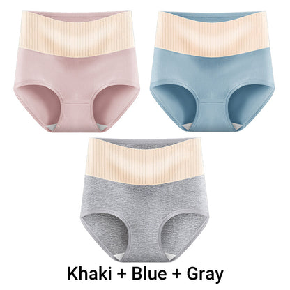 🎁(3pcs) Women's High Waisted 3A Grade Paclitaxel Antibacterial Panties
