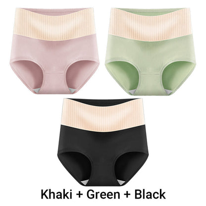 🎁(3pcs) Women's High Waisted 3A Grade Paclitaxel Antibacterial Panties