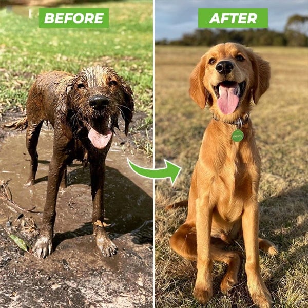 The Original Pup Jet - 8 IN 1 SPRAY PATTERNS