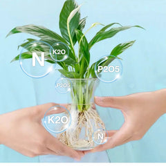 ✨Buy 1 Get 1 Free✨Hydroponic Nutrient Solution for Plant Growth