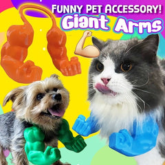💪🐱💪Paw-lloween Protein Monster is Coming🎃Funny Muscle Arms