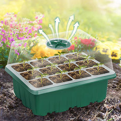 Seed Starter Trays with Grow Light