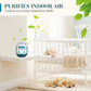 🌿BUY 1 GET 1 FREE + 50% OFF! 🌿Indoor Air Purification Dust Removal Box🏠