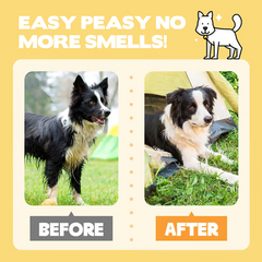 🔥Free Shipping🔥 Rinse-Free Pet Cleaning Deodorizing Gloves