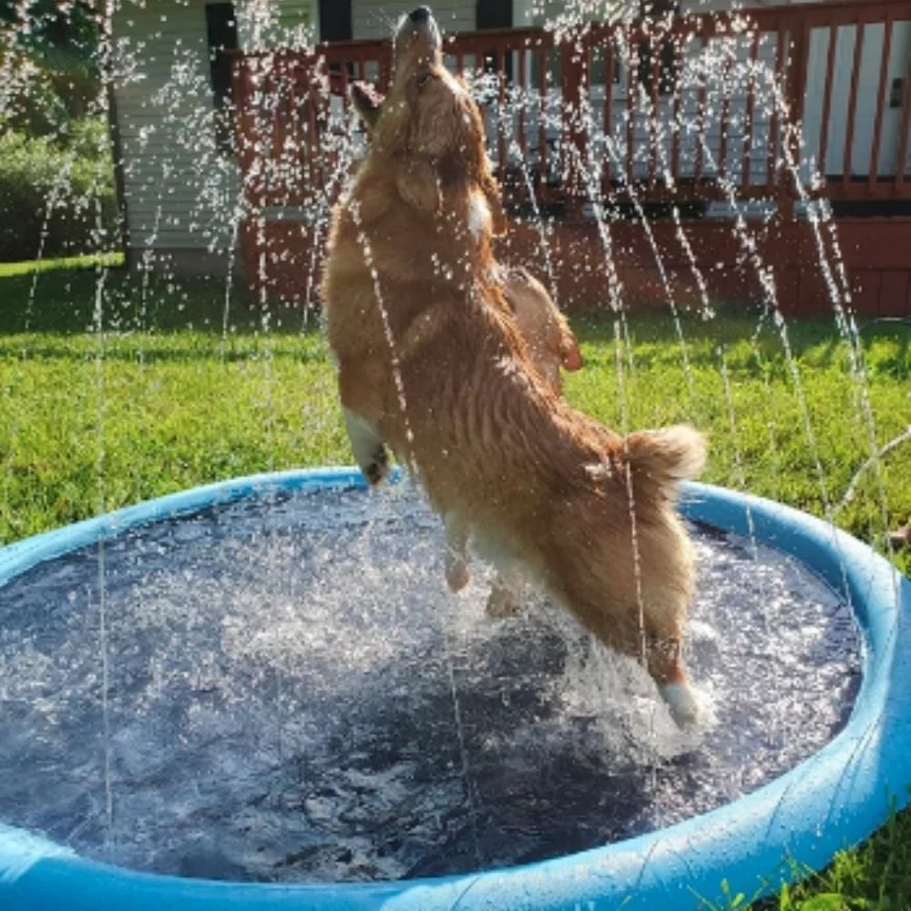 🏊SUMMER HOT SALE 50% OFF NOW! 🌊 Pawsh™ Foldable Dog Splash Pad🇬🇧 Big Sprinkler Mat for Garden & Beach 🌊☀️ | Non-Slip, Quick-Dry Play Pool for Dogs 🐾 | Folds Flat in Seconds! 🎒🐕
