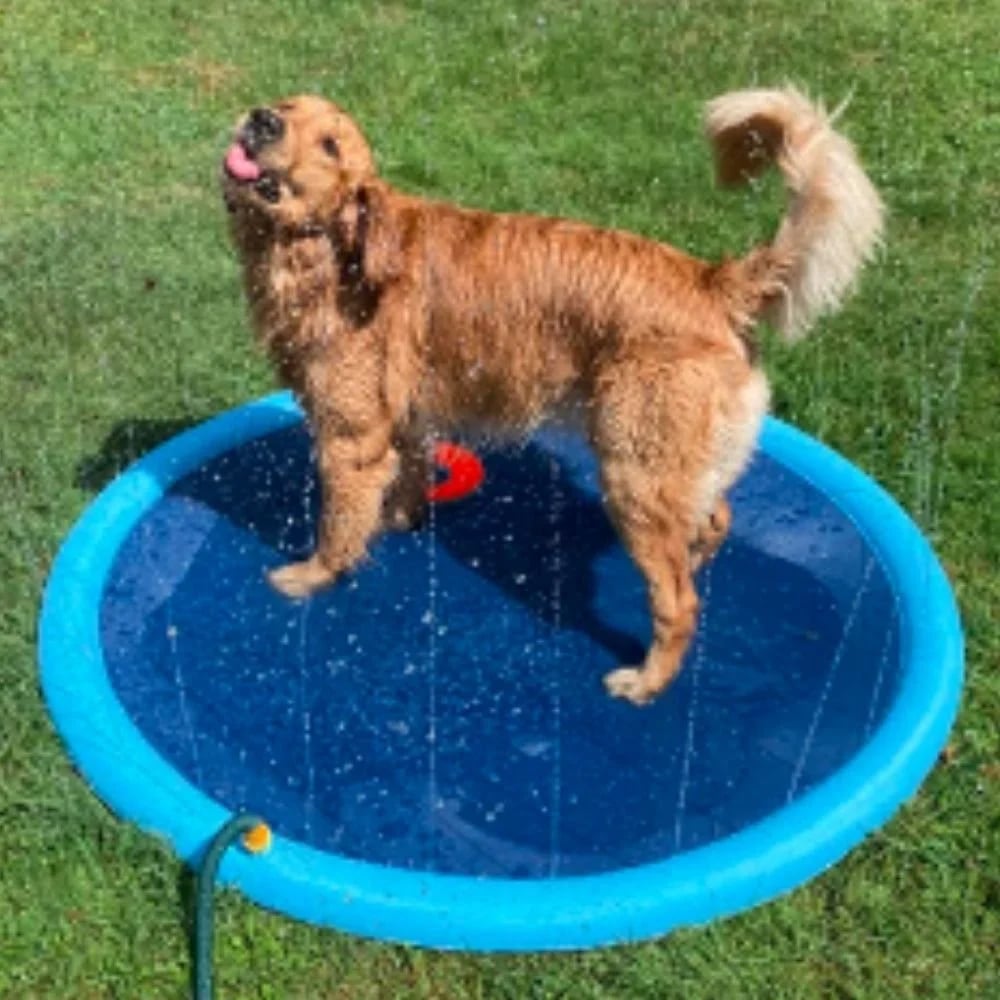 🏊SUMMER HOT SALE 50% OFF NOW! 🌊 Pawsh™ Foldable Dog Splash Pad🇬🇧 Big Sprinkler Mat for Garden & Beach 🌊☀️ | Non-Slip, Quick-Dry Play Pool for Dogs 🐾 | Folds Flat in Seconds! 🎒🐕