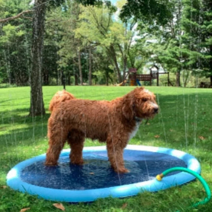 🏊SUMMER HOT SALE 50% OFF NOW! 🌊 Pawsh™ Foldable Dog Splash Pad🇬🇧 Big Sprinkler Mat for Garden & Beach 🌊☀️ | Non-Slip, Quick-Dry Play Pool for Dogs 🐾 | Folds Flat in Seconds! 🎒🐕