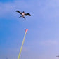 ⏳LAST DAY SALE ONLY ￡11.99!!🔥Handheld Fishing Rod Kite Toy