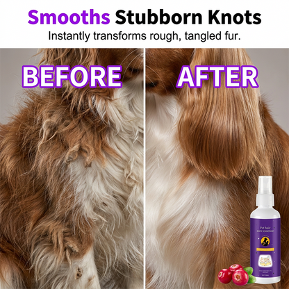 🔥LAST DAY SALE BUY 1 GET 1 FREE!!🔥PawGlide™ Pet Detangler Spray – No Rinse, Instant Tangle Relief for Dogs & Cats 🐾✨