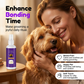 🔥LAST DAY SALE BUY 1 GET 1 FREE!!🔥PawGlide™ Pet Detangler Spray – No Rinse, Instant Tangle Relief for Dogs & Cats 🐾✨