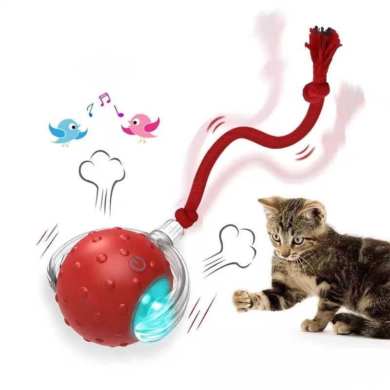 🎁Last Day Promotion 49% OFF🔥Interactive Cat，Dog Toys Ball with Simulate Bird Sounds