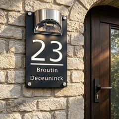🎁Last Day Promotion 49% OFF🔥Solar Powered LED House Number Light