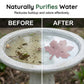 💥 BUY 2 GET 1 FREE 🥳Universal Fit Bird Bath Purifier