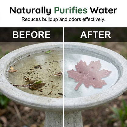 💥 BUY 2 GET 1 FREE 🥳Universal Fit Bird Bath Purifier