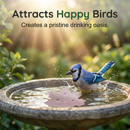 💥 BUY 2 GET 1 FREE 🥳Universal Fit Bird Bath Purifier