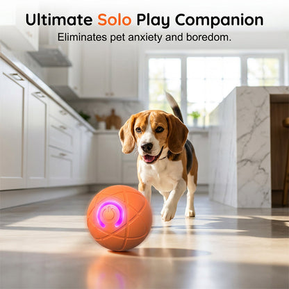 ⏰Limited Time Special Price ￡7.99!!✨🐾 AUTO-BOUNCING SMART PET BALL WITH REMOTE CONTROL— 3 Interactive Modes | Chew-Resistant E-TPU | USB-C Rechargeable 🎾