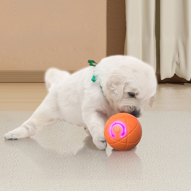 ⏰Limited Time Special Price ￡7.99!!✨🐾 AUTO-BOUNCING SMART PET BALL WITH REMOTE CONTROL— 3 Interactive Modes | Chew-Resistant E-TPU | USB-C Rechargeable 🎾
