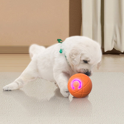 ⏰Limited Time Special Price ￡7.99!!✨🐾 AUTO-BOUNCING SMART PET BALL WITH REMOTE CONTROL— 3 Interactive Modes | Chew-Resistant E-TPU | USB-C Rechargeable 🎾
