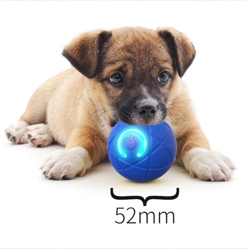 ⏰Limited Time Special Price ￡7.99!!✨🐾 AUTO-BOUNCING SMART PET BALL WITH REMOTE CONTROL— 3 Interactive Modes | Chew-Resistant E-TPU | USB-C Rechargeable 🎾