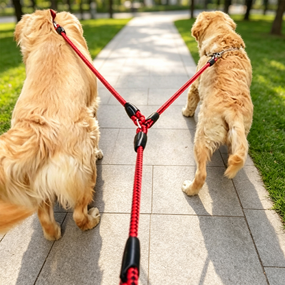 🐕Heavy-Duty Double Dog Leash