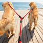 🐕Heavy-Duty Double Dog Leash